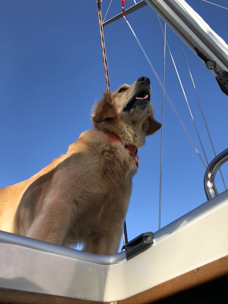 SV Nellie voyage photo