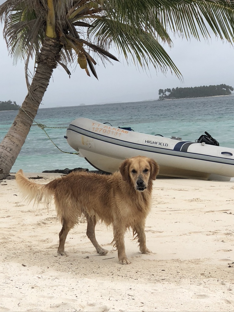 SV Nellie voyage photo